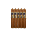 LUNATIC TORCH IMAGINE <br>5 x 50 (10)