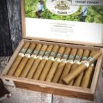 Joya de Nicaragua Clasico Toro Cigars – Box of 25